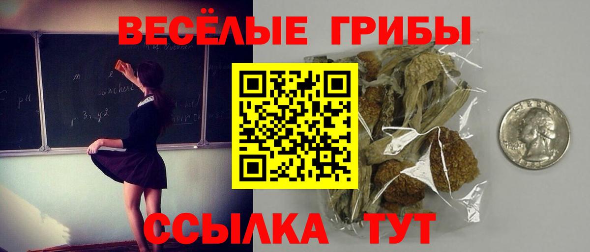 Галлюциногенные грибы GOLDEN TEACHER  Вход с VPN  Осинники 